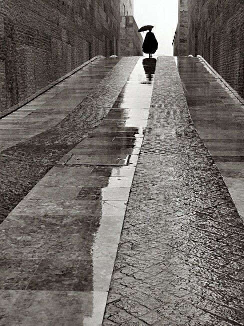 春困夏乏秋倦冬眠